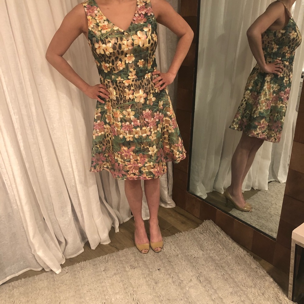 NWT Taylor Sleeveless BUrnout Organza Dress 10